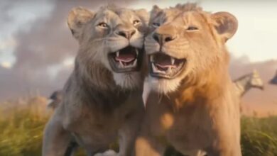 Mufasa يحقق 35 مليون دولار إيرادات فى 4100 صالة سينما