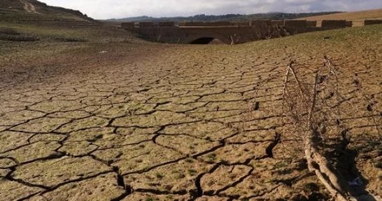 الأمم المتحدة فى COP16: ثلاث مليارات شخص فى العالم يواجهون التصحر