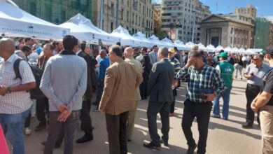 انطلاق سوق اليوم الواحد للمزارعين من العجمى غرب الإسكندرية اليوم