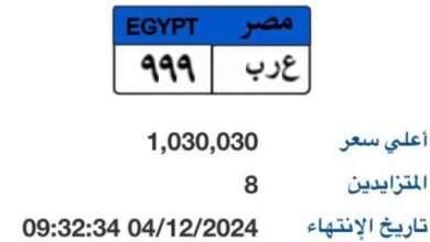 لوحة سيارة "ع ر ب- 999" المميزة سعرها يتجاوز مليون جنيه.. والمزاد مستمر