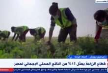 إبراهيم درويش: مصر وضعت قطاع الزراعة على رأس أولوياتها خلال السنوات العشر الأخيرة