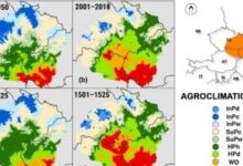دراسة: التغيرات المناخية تقلل من الإنتاجية الزراعية في أوروبا الوسطى