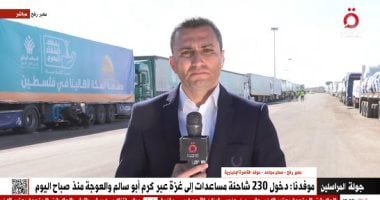 موفد القاهرة الإخبارية: دخول 230 شاحنة مساعدات إلى غزة منها 20 تحمل وقودا