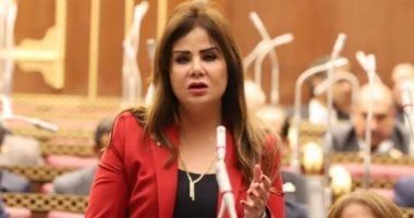 أمل رمزي: بيان الخارجية حكيم وقوى.. وحصن منيع ضد محاولات انتهاك حقوق الشعوب