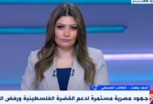 كاتب صحفى: الجهود المصرية مستمرة لدعم القضية الفلسطينية