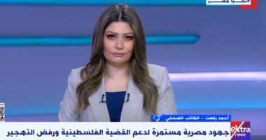 كاتب صحفى: الجهود المصرية مستمرة لدعم القضية الفلسطينية